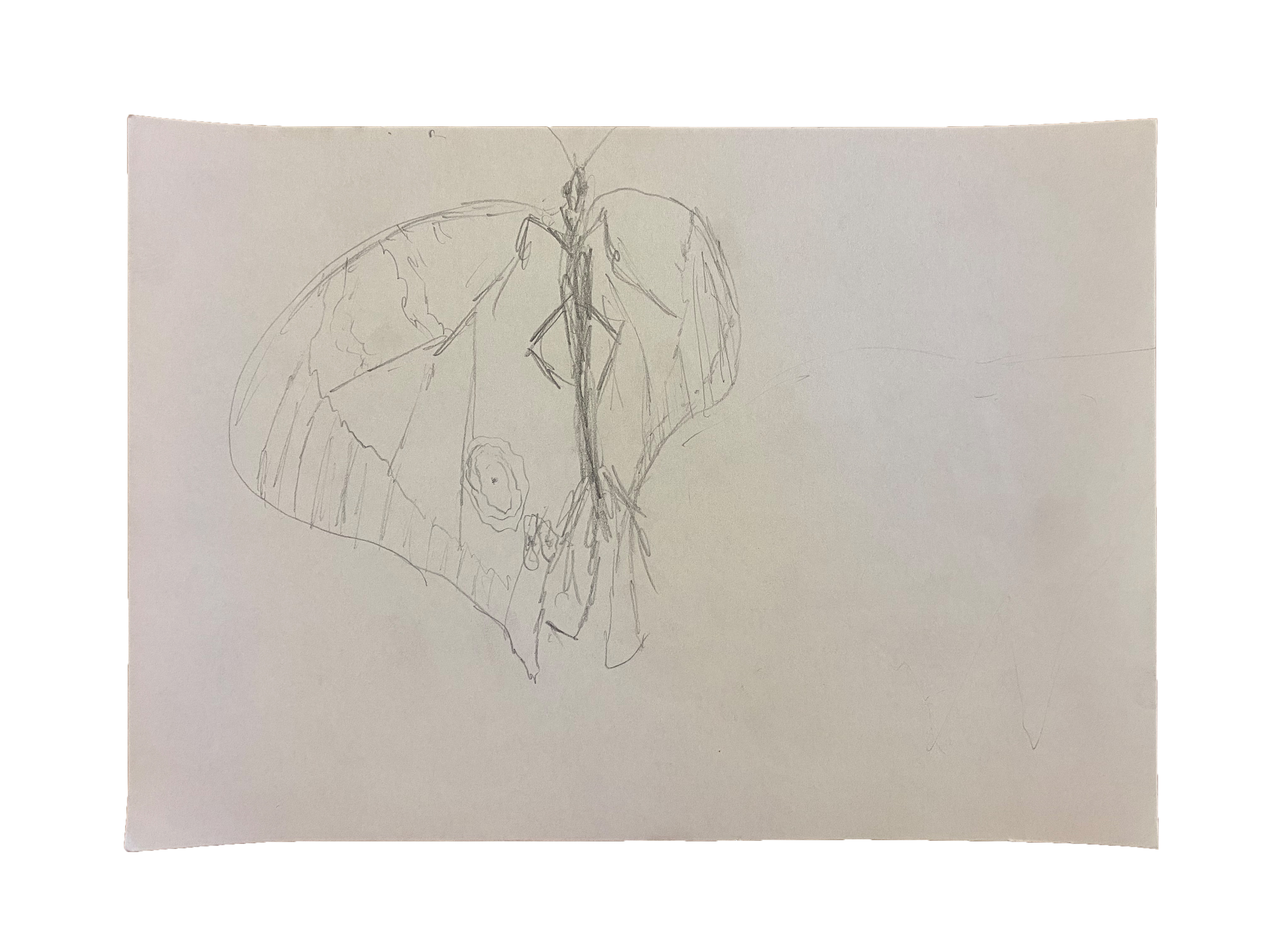 Further view of the work “Drawings”