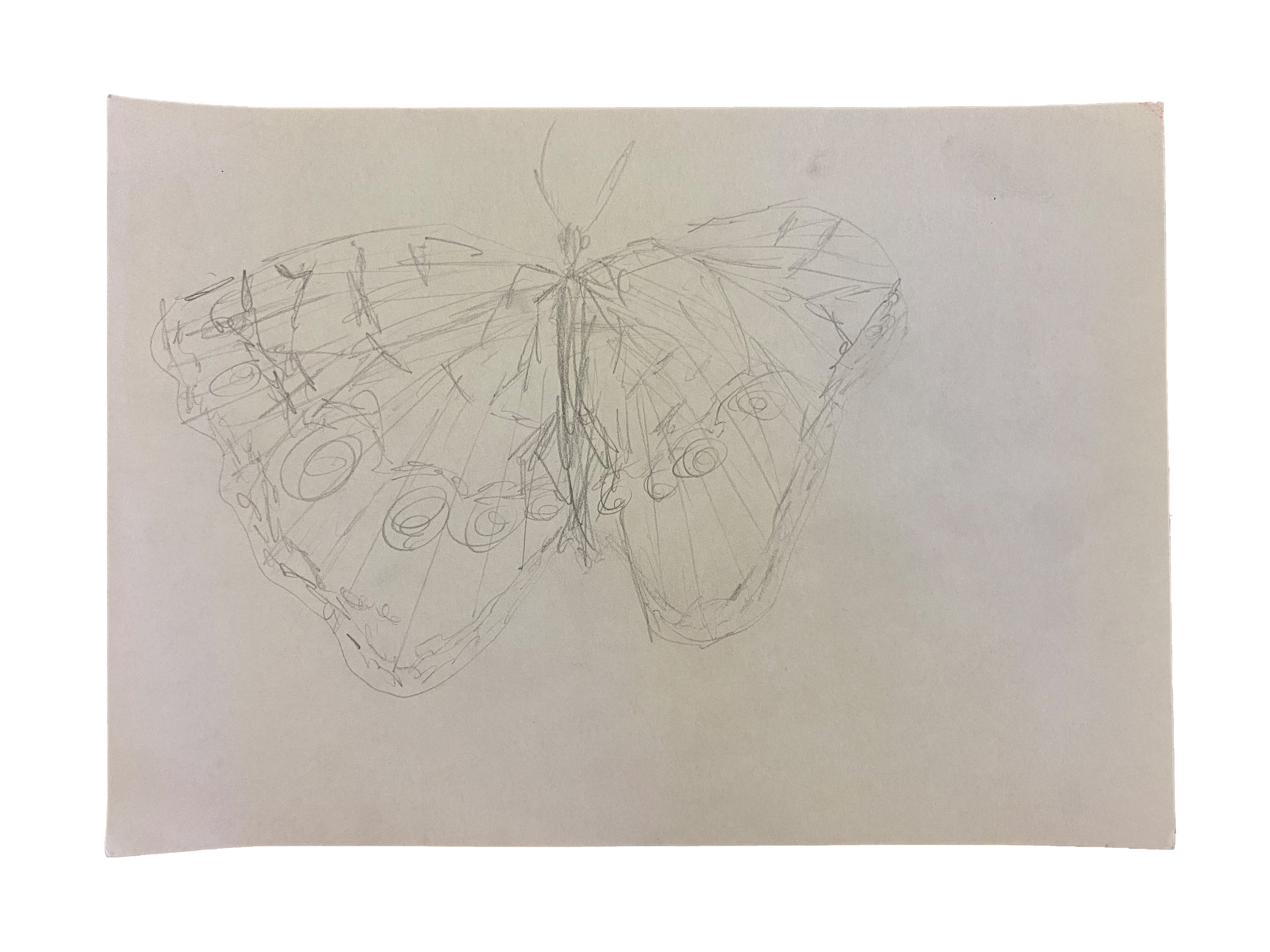 Further view of the work “Drawings”