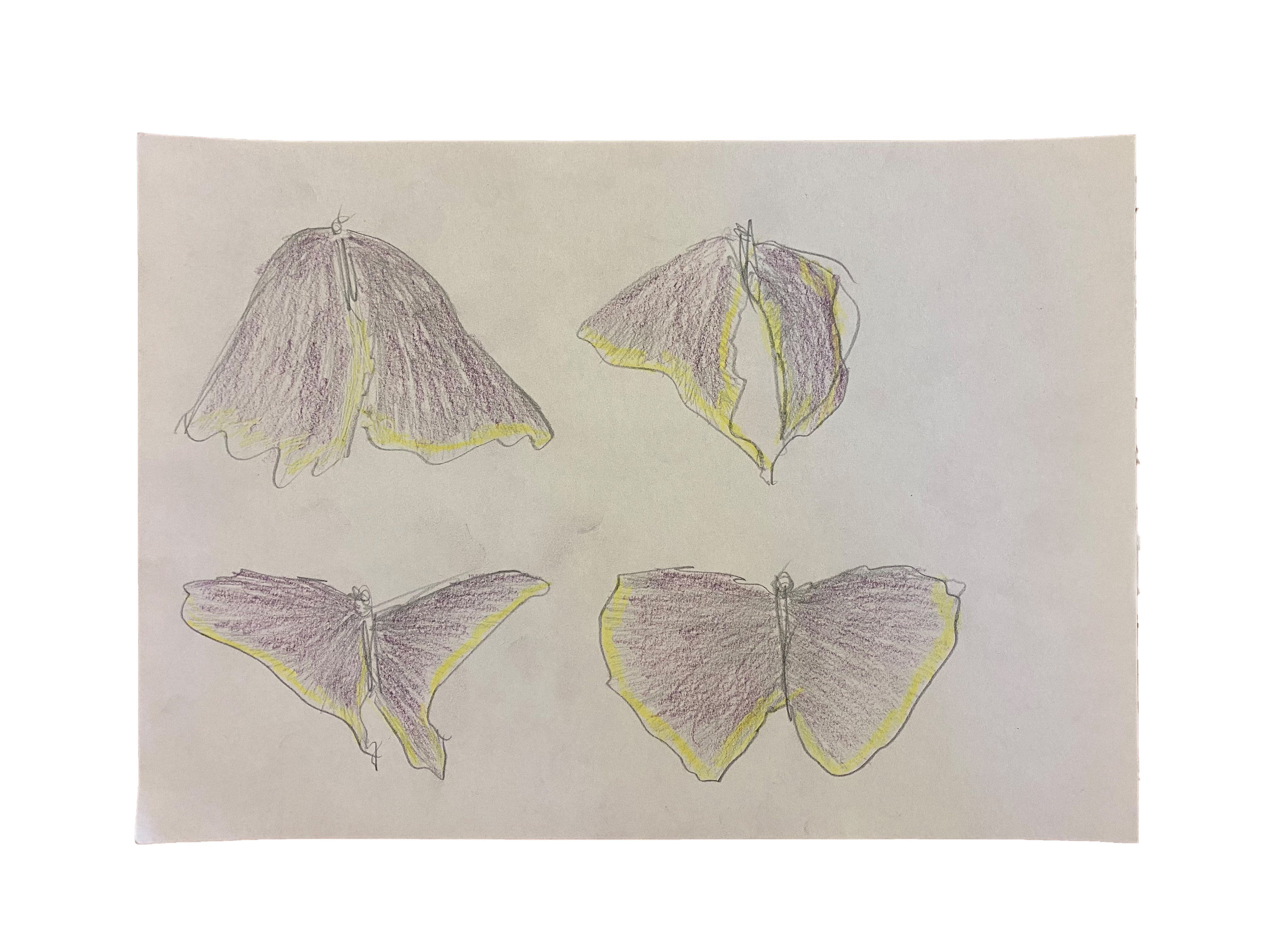 Further view of the work “Drawings”