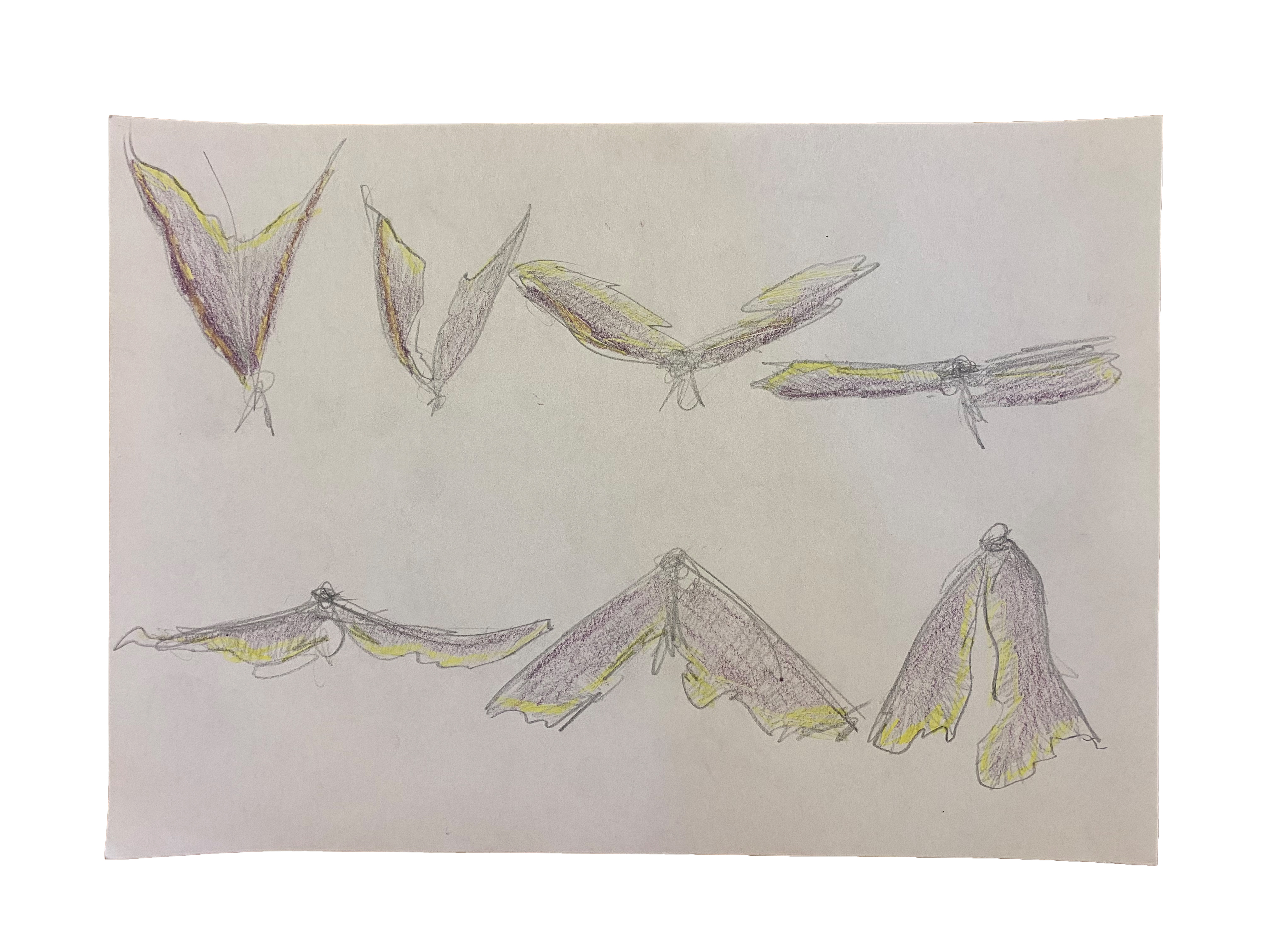 Further view of the work “Drawings”